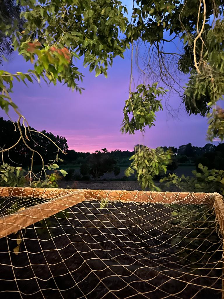PISCINA + PARRILLA + ATARDECER - hasta 15 pers. de lunes a viernes