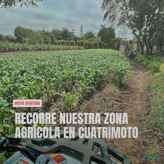 CUATRIMOTO + ZONA AGRICOLA