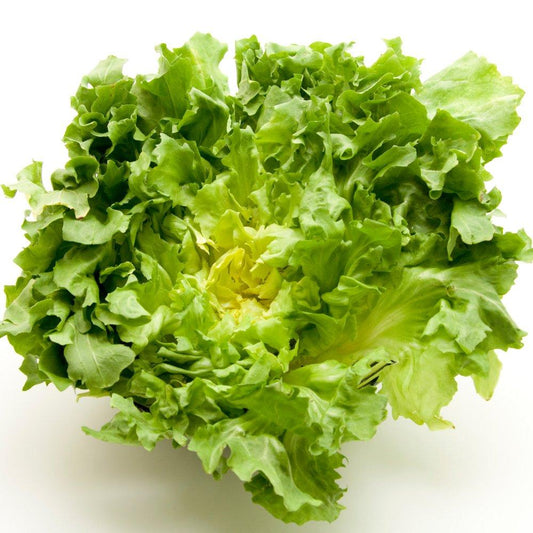 Lechuga orgánica