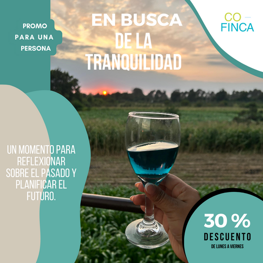 Promo en busca de la tranquilidad 30 % de descuento de lunes a viernes en habitaciones